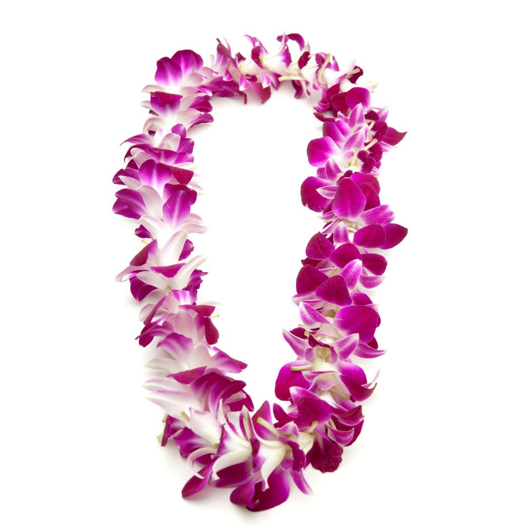 Cal Poly Graduation Orchid Lei pre-order - Available 6/11-6/14