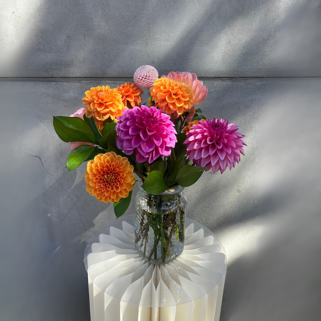 Designer's Choice Summer - Supports Assistance League San Luis Obispo