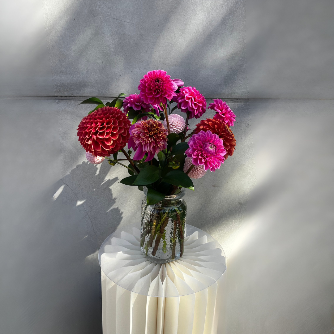 Designer's Choice Summer - Supports Assistance League San Luis Obispo