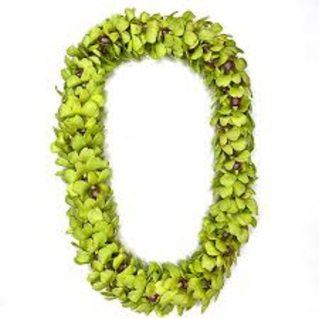 Cal Poly Graduation Orchid Lei pre-order - Available 6/11-6/14